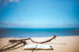 Boeken voor en over de zomervakantie