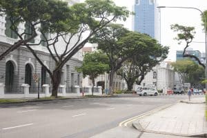 Dutch for Kids in Singapore